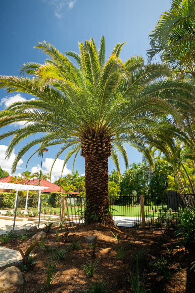 Santa Cruz Landscape Design Project, Clear Island Waters - Gardens